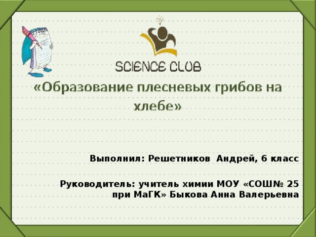  Выполнил: Решетников Андрей, 6 класс  Руководитель: учитель химии МОУ «СОШ№ 25 при МаГК» Быкова Анна Валерьевна 