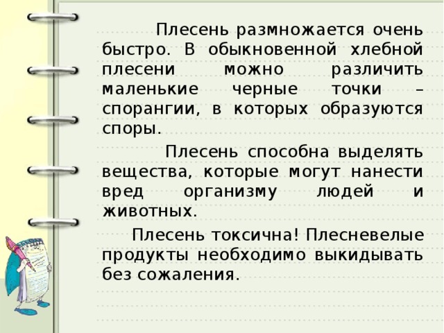  Плесень размножается очень быстро. В обыкновенной хлебной плесени можно различить маленькие черные точки – спорангии, в которых образуются споры.  Плесень способна выделять вещества, которые могут нанести вред организму людей и животных.  Плесень токсична! Плесневелые продукты необходимо выкидывать без сожаления. 