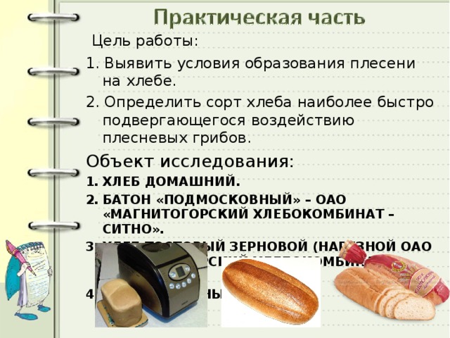 Исследования условий образования и роста плесени на хлебе проект