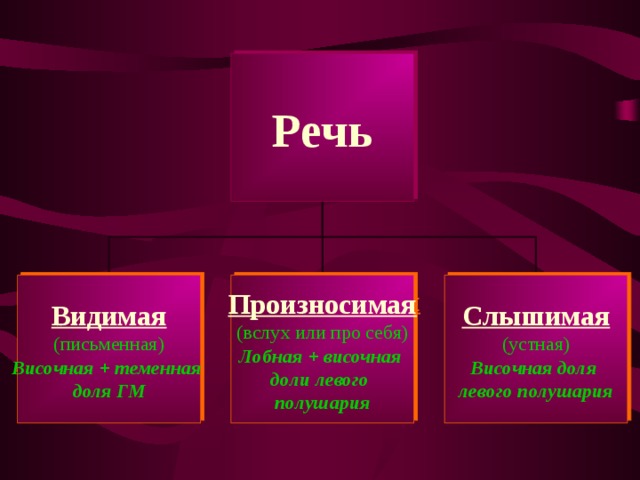 Речь Видимая Произносимая Слышимая (письменная) Височная + теменная доля ГМ (вслух или про себя) Лобная + височная доли левого полушария (устная) Височная доля левого полушария 