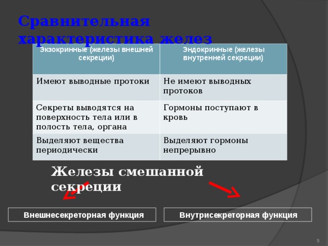 Отличие желез внешней и внутренней. Экзокринные железы это железы внешней секреции. Секрет железы внешней секреции. Характеристика желез внешней секреции. Железы внешней секреции выделяют секрет.