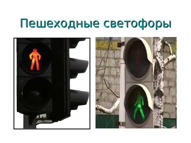 Пешеход всегда прав, так ли это? Воспитатель за кадром Дзен
