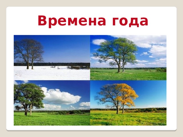 Времена года 