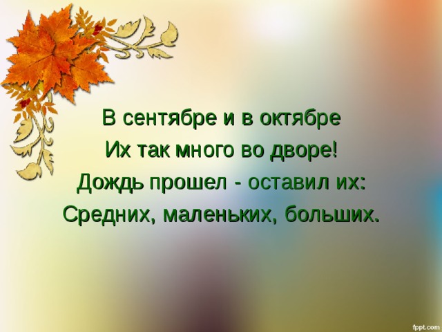 В сентябре и в октябре Их так много во дворе! Дождь прошел - оставил их: Средних, маленьких, больших. 