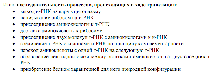 Трансляция порядок процессов. Последовательность процессов трансляции. Последовательность процессов происходящих при трансляции. Установите последовательность процессов трансляции. Последовательность процессов при трансляции биология.