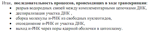 Установите последовательность процессов происходящих. Транскрипция последовательность процессов. Последовательность процессов при транскрипции. Последовательность процессов происходящих при транскрипции. Транскрипция биология последовательность процессов.