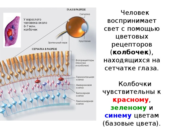 7. Для удобства работы с файлами их группируют: c) в каталоги  