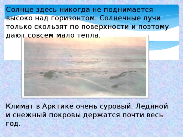 Солнце здесь никогда не поднимается высоко над горизонтом. Солнечные лучи только скользят по поверхности и поэтому дают совсем мало тепла. Климат в Арктике очень суровый. Ледяной и снежный покровы держатся почти весь год. 