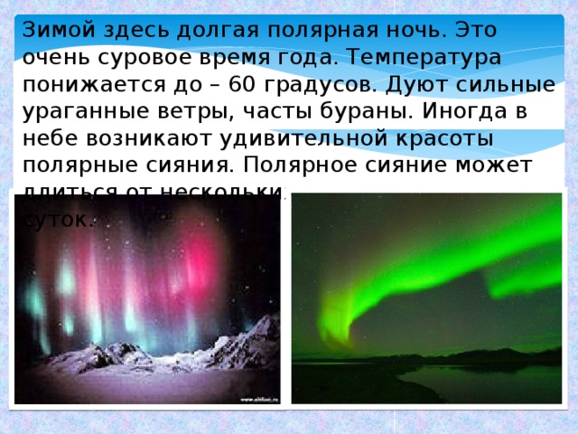 Зимой здесь долгая полярная ночь. Это очень суровое время года. Температура понижается до – 60 градусов. Дуют сильные ураганные ветры, часты бураны. Иногда в небе возникают удивительной красоты полярные сияния. Полярное сияние может длиться от нескольких минут до нескольких суток. 