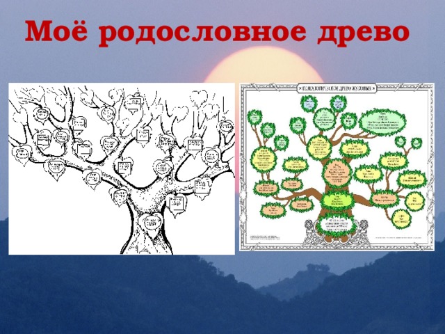 Генетика деревьев. Генеалогическое дерево генетика. Как выглядит родословное дерево. Введение моя родословная. Генеалогическое Древо Брежнева.
