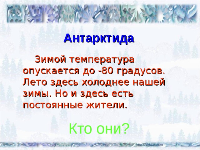 Антарктида  Зимой температура опускается до -80 градусов. Лето здесь холоднее нашей зимы. Но и здесь есть постоянные жители. Кто они? 