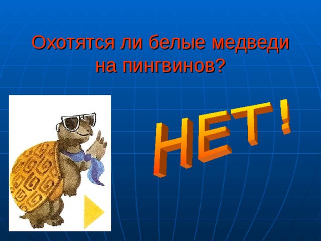 Охотятся ли белые медведи на пингвинов? 