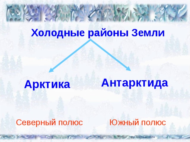 Холодные районы Земли Антарктида Арктика Северный полюс Южный полюс 