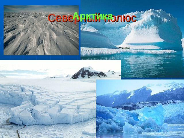 Северный полюс Арктика 
