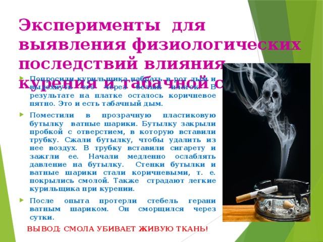 Эксперименты для выявления физиологических последствий влияния курения и табачной смолы Попросили курильщика набрать в рот дым и выдохнуть его через белый платок. В результате на платке осталось коричневое пятно. Это и есть табачный дым. Поместили в прозрачную пластиковую бутылку ватные шарики. Бутылку закрыли пробкой с отверстием, в которую вставили трубку. Сжали бутылку, чтобы удалить из нее воздух. В трубку вставили сигарету и зажгли ее. Начали медленно ослаблять давление на бутылку. Стенки бутылки и ватные шарики стали коричневыми, т. е. покрылись смолой. Также страдают легкие курильщика при курении. После опыта протерли стебель герани ватным шариком. Он сморщился через сутки. ВЫВОД: СМОЛА УБИВАЕТ ЖИВУЮ ТКАНЬ!  