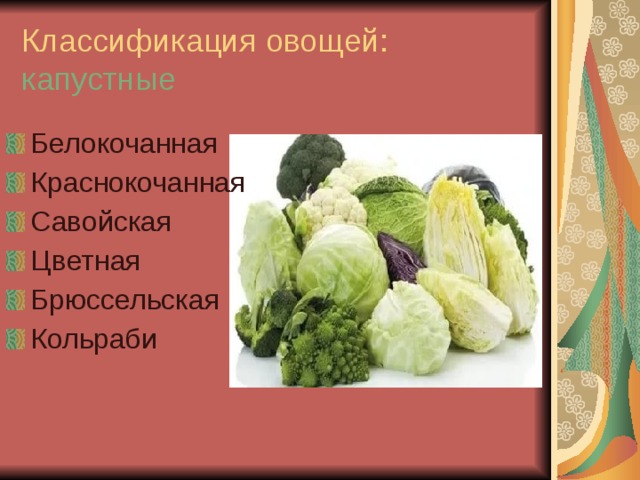 Обработка капустных овощей. Овощи классификация овощей. Капустные овощи. Капустные классификация. Классификация овощей-капустные овощи.