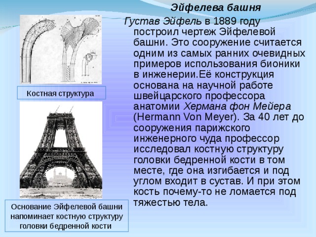 Что изучает бионика краткий ответ