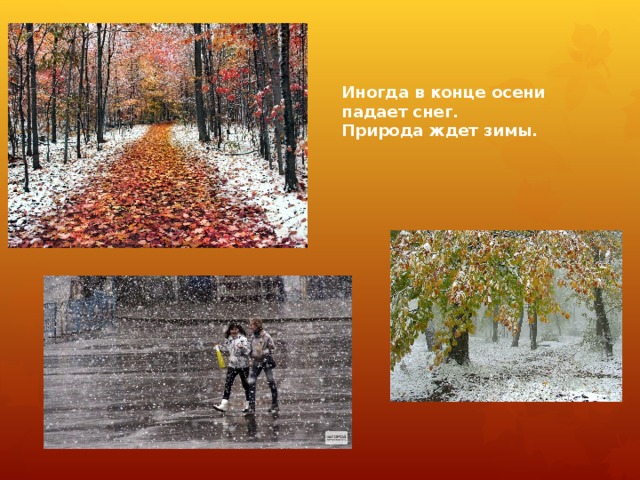 Иногда в конце осени падает снег.  Природа ждет зимы. 