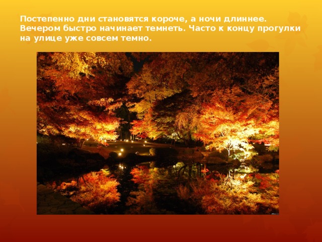 Постепенно дни становятся короче, а ночи длиннее. Вечером быстро начинает темнеть. Часто к концу прогулки на улице уже совсем темно. 