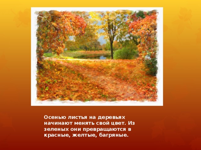 Осенью листья на деревьях начинают менять свой цвет. Из зеленых они превращаются в красные, желтые, багряные. 