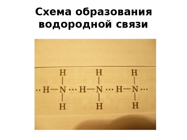 Уксусная кислота водородные связи между молекулами