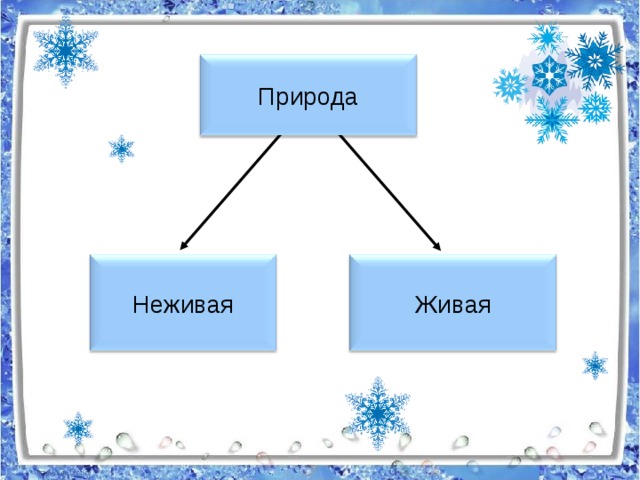 Живая природа зимой 2 класс окружающий мир презентация плешаков