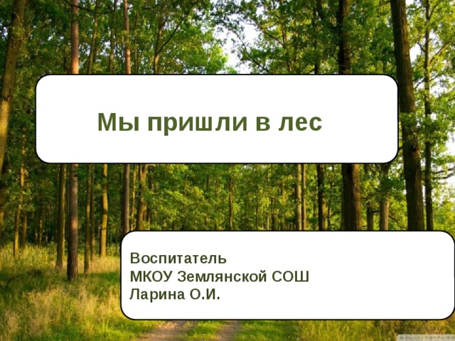 Мы пришли в лес Воспитатель МКОУ Землянской СОШ Ларина О.И. 