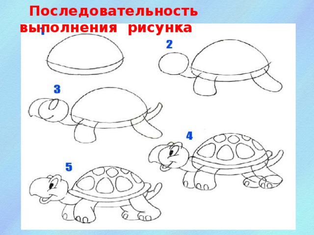 Алгоритм выполнения рисунка