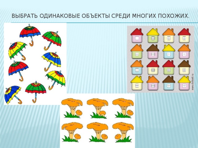 Выбрать одинаковые. Одинаковые объекты. Выделение объектов среди подобных.. Одинаковые предметы в природе. Почти одинаковые предметы.