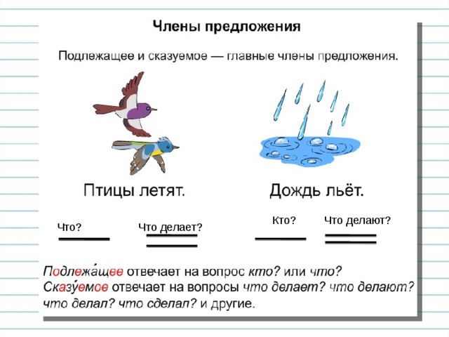 Картинка главные члены предложения