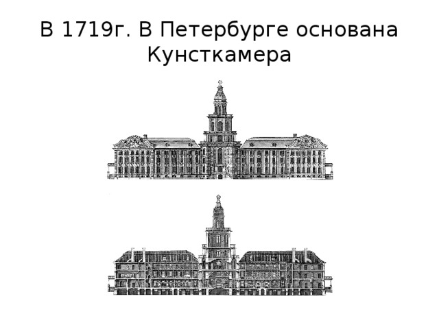 В 1719г. В Петербурге основана Кунсткамера 