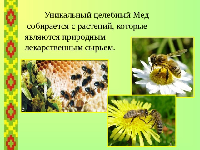  Уникальный целебный Мед  собирается с растений, которые являются природным лекарственным сырьем.  