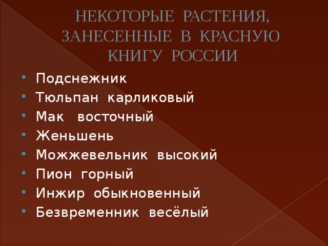 НЕКОТОРЫЕ РАСТЕНИЯ, ЗАНЕСЕННЫЕ В КРАСНУЮ КНИГУ РОССИИ Подснежник Тюльпан карликовый Мак восточный Женьшень Можжевельник высокий Пион горный Инжир обыкновенный Безвременник весёлый 