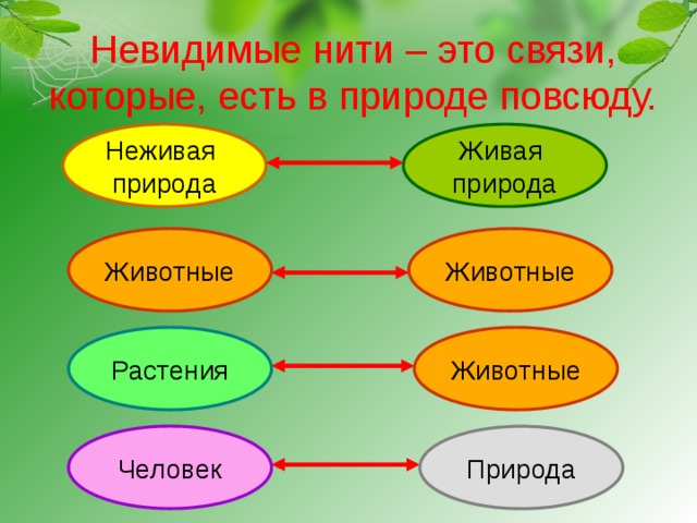 Невидимые нити – это связи, которые, есть в природе повсюду. Живая Неживая природа природа Животные Животные Растения Животные Человек Природа 