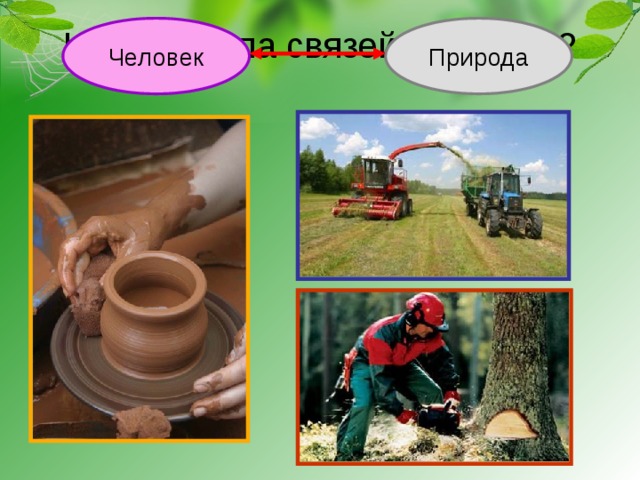 Человек Природа Какая группа связей показана? 