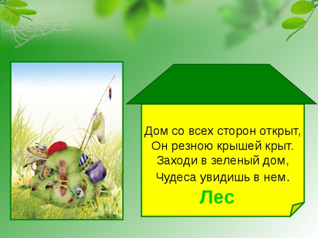 Дом со всех сторон открыт, Он резною крышей крыт. Заходи в зеленый дом, Чудеса увидишь в нем . Лес 