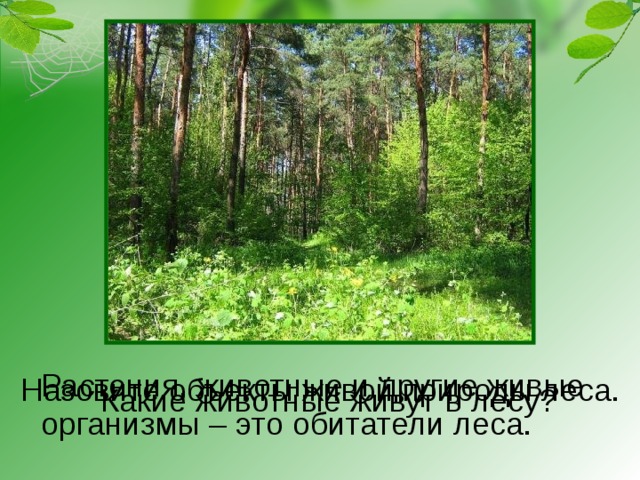 Растения, животные и другие живые организмы – это обитатели леса. Назовите объекты живой природы леса. Какие животные живут в лесу? 