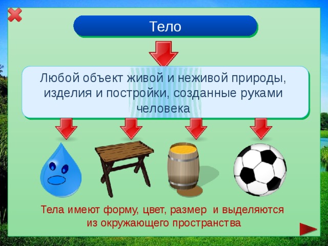 Все тела имеют. Предмет неживой природы вещество и тело. Тела живой природы цвет форма размер масса. Тела и вещества живой и неживой. Предметы живой природы. Вещество. Тело..