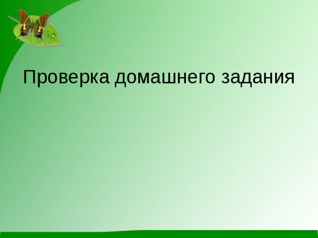 Проверка домашнего задания 