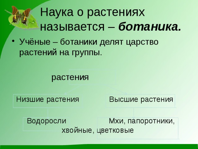 Наука о растениях называется – ботаника. Учёные – ботаники делят царство растений на группы.      растения  Низшие растения Высшие растения  Водоросли Мхи, папоротники,     хвойные, цветковые 