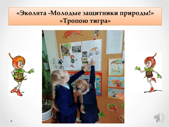 «Эколята -Молодые защитники природы!» «Тропою тигра» 