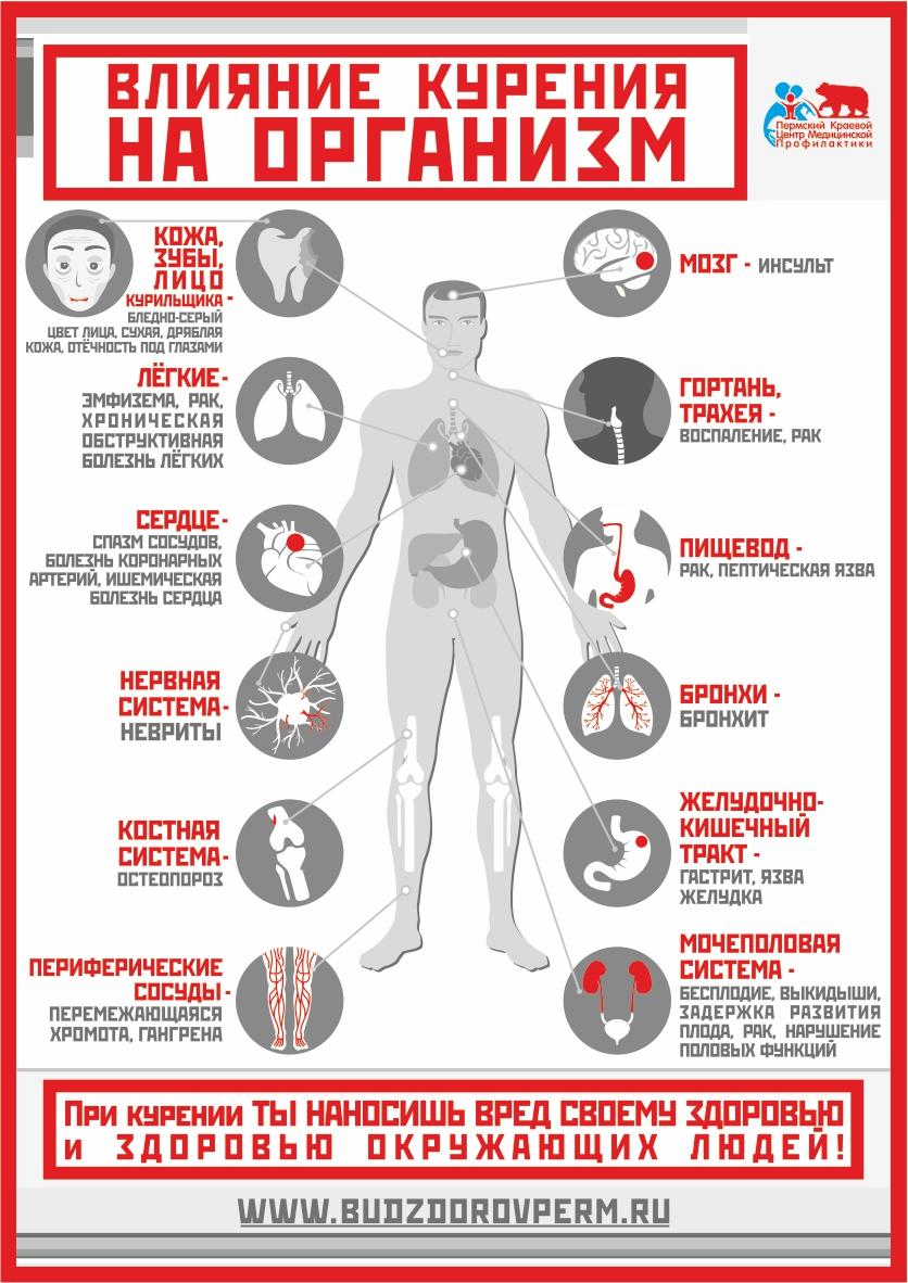 Плакат. Курение. - Психологу - 8 класс
