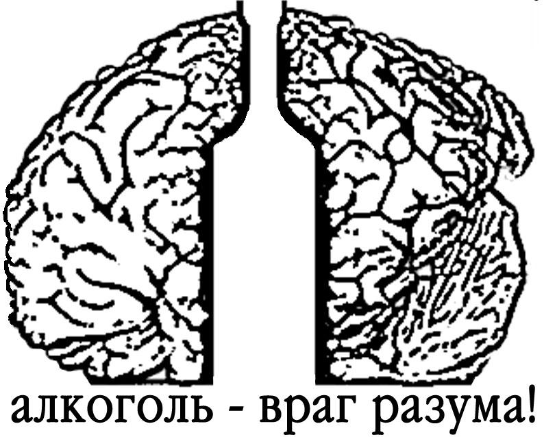 Когда человек сам себе враг обж 9 класс презентация