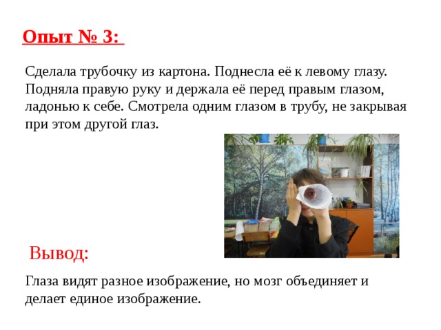 Опыт № 3: Сделала трубочку из картона. Поднесла её к левому глазу. Подняла правую руку и держала её перед правым глазом, ладонью к себе. Смотрела одним глазом в трубу, не закрывая при этом другой глаз. Вывод: Глаза видят разное изображение, но мозг объединяет и делает единое изображение. 