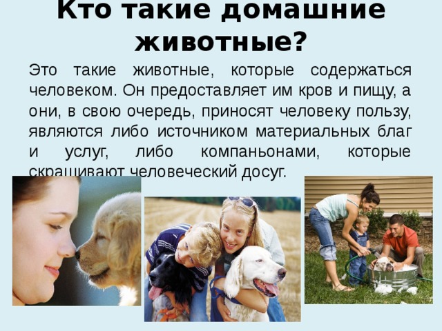 Какую пользу приносят домашние животные 3 примера Презентация на тему: "Домашние животные"
