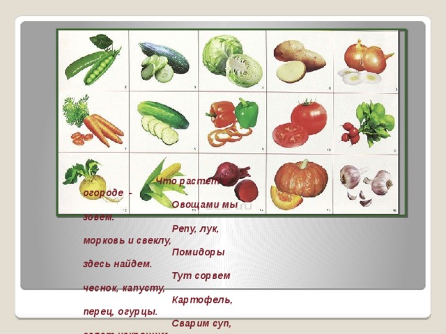 Найди слова овощи. Обобщающие слова овощи. Запиши обобщающие слова для каждой группы рисунков. Обобщающие слова овощи фрукты. Тема овощи репа.