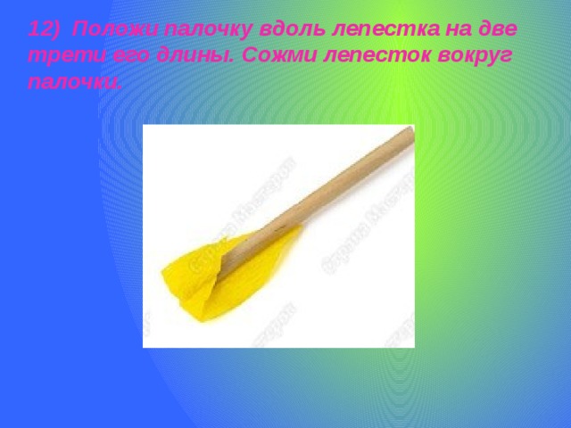 12) Положи палочку вдоль лепестка на две трети его длины. Сожми лепесток вокруг палочки.   