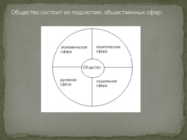 Из каких элементов состоит общество