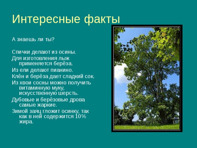 Есть проект а по факту Презентация "Лесная гостиная"