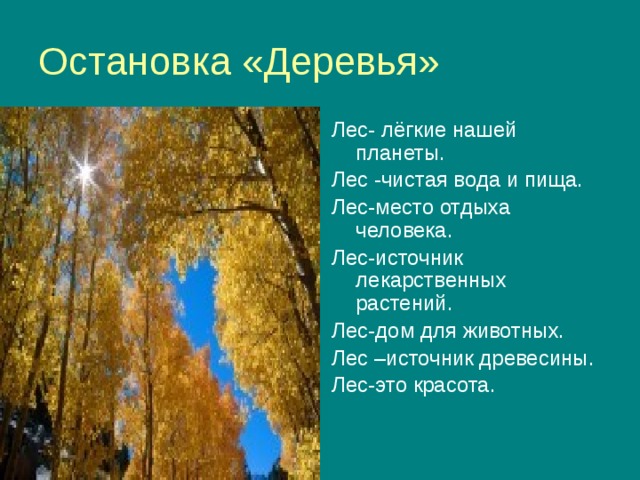 Окружающий мир 4 класс проект лес